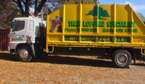 Curtis Tree Lopping Specialists
