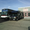 The Bus Excursions LLC gallery