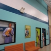 Banfield Pet Hospital gallery