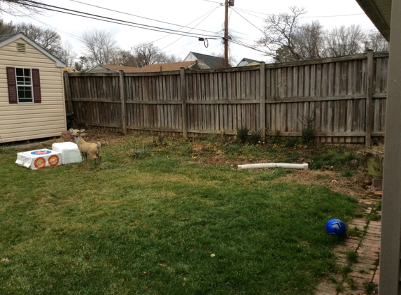 Cleartree - Joppa, MD. Removal of weeds and


Removal