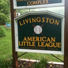 Livingston American Little LG