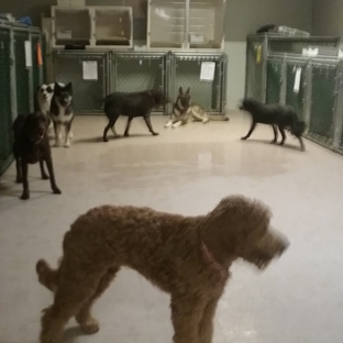 4 Paws Inn - Yuma, AZ. waiting for supper