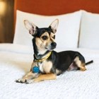 Hampton Inn Lexington South-Keeneland/Airport