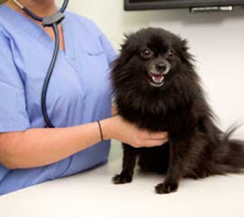 Walker Veterinary Hospital - Stockton, CA. Emergency Veterinarian Stockton, CA 95210