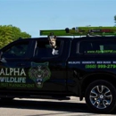 Alpha Wildlife & Pest Management - Pest Control Services