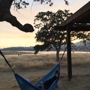 Millerton Lake State Recreation Area