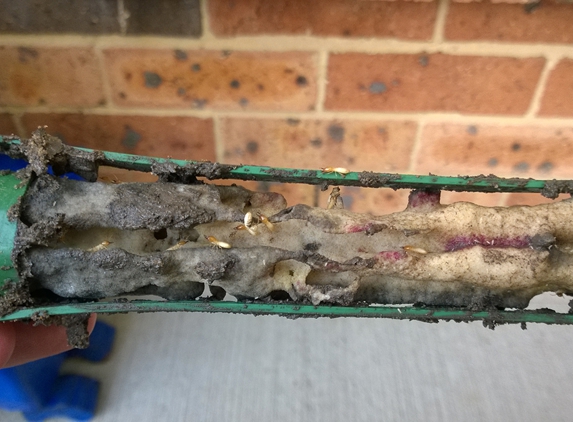 Termitedoc Pest Control - Cardiff, NSW. Sentricon Always Active Baiting