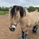 Ashland Area Veterinary Clinic - Veterinarians