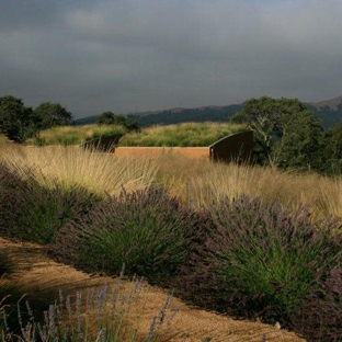 Mozaic Landscapes - Sunol, CA