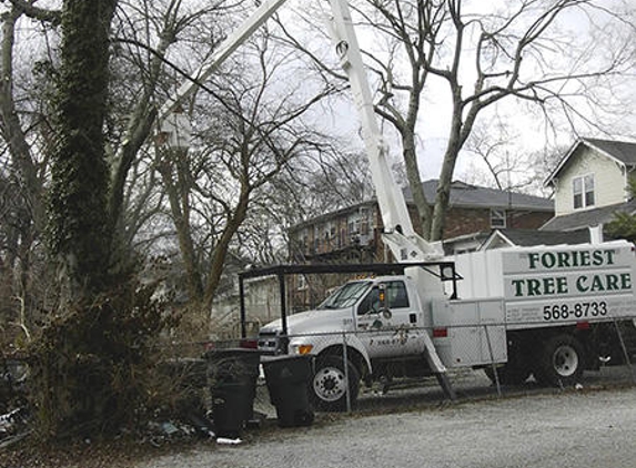 Foriest Tree Care