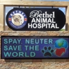 Bethel Animal Hospital gallery