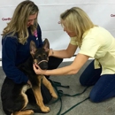 Gentle Dog Training - Pet Training