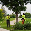 Aaa Tree Service gallery