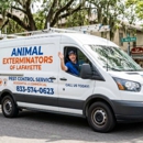 Animal Exterminators of Lafayette - Animal Removal Services