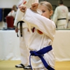 Asheville Academy of Taekwondo gallery