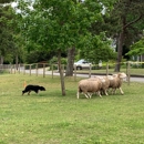 Taylor-Bray Farm Preservation - Associations