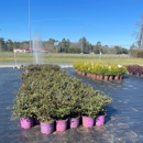 Froggy Bottom Materials - Garden Centers