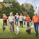 Buckhead Paws Dog Walking and Pet Sitting Services of Atlanta - Pet Sitting & Exercising Services