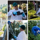 Byrd Pest Control - Pest Control Services