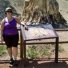 Florissant Fossil Beds National Monument gallery