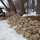 Sticks & Stones Inc - Firewood