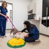 Cainhoy Veterinary Hospital gallery