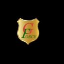 G-Force Insurance Team LLC - Insurance