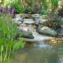 Sunland Water Gardens - Plants