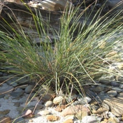 Gallery Image Number 6