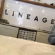 Lineage Coffee Roasting