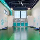 Pet Paradise - Hostels