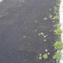 Black Rock Paving & Sealcoating