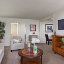 Casa Ciento - Real Estate Rental Service