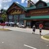 Cabela's gallery