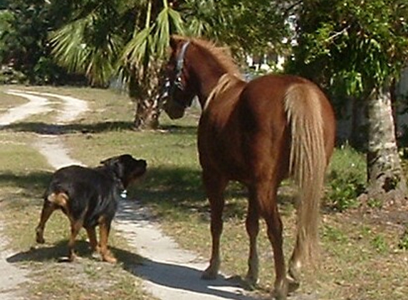 The Pet Nanny