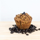BEG Bakery & Creamery and P.A.R.M. Italia