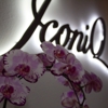 Iconiq Day Spa gallery