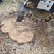 Elite Land Solutions