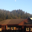 Sherwood Forest Motel Inc - Motels
