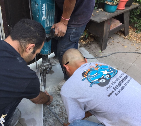Free Flo Rooter & Plumbing - North Hollywood, CA