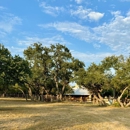 Dynamo Dusty's Tree Service - Arborists
