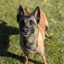 Desert Oasis Pet Retreat - Hostels