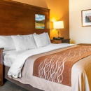 Comfort Inn & Suites Midtown - Motels