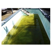 Gallery Image Number 1