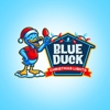 Blue Duck Christmas Lights gallery