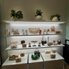 Aldo gallery