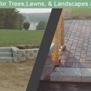 On the Side Tree & Landscape - Landscape Contractors