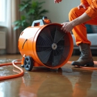 Clearwater Mold Removal