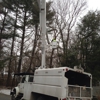 Arbor MD Tree Service, LLC gallery