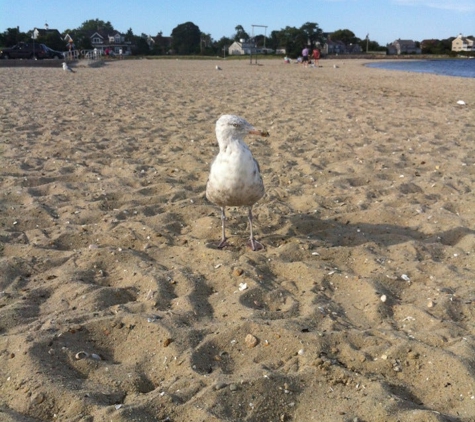 Veteran's Park Beach - Hyannis, MA